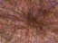 epict.cu.545.jpg