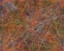 epict.cu.568.jpg